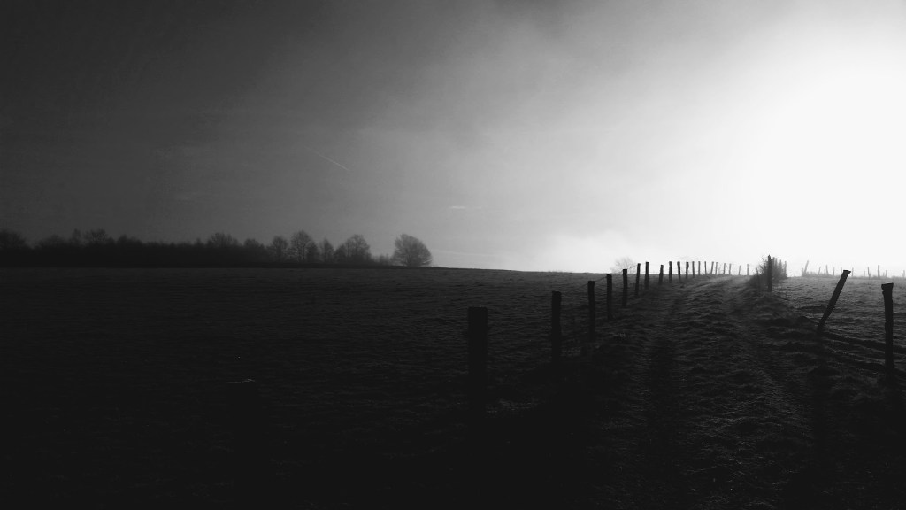 Black and white path in countryside - quite a dark image to represent that ARFID is little known
